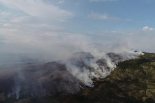 Aysén: Incendio está contenido y sin avance