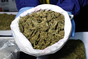 Traficantes cibernéticos ocupaban aplicaciones de smartphone para vender droga