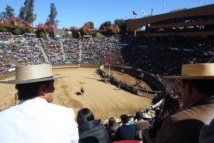 En Pucón comienza la fase final de la temporada de rodeo