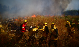 Gobierno se querella contra seis personas por incendios forestales en Los Lagos