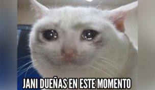 Los duros memes que dejó el paso de Jani Dueñas por la Quinta Vergara: no triunfó en Viña 2019