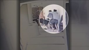 Brutal pelea en condominio San Alfonso del Mar en Algarrobo