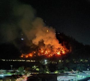 Onemi declara Alerta Roja para Recoleta por incendio en el Cerro San Cristóbal