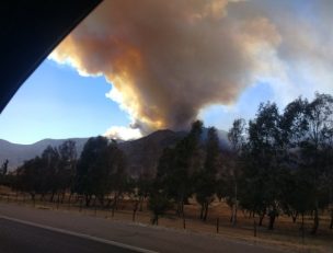 Incendio forestal afecta sector de Lomas de Lo Aguirre afectando ya 30 hectáreas