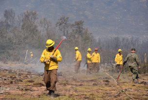 CONAF logra controlar incendio de Nueva Escocia en Ercilla