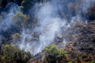 Fiscalía logra primera condena por incendio ocurrido bajo estado de excepción