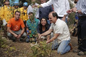 Reforestarán Cerro San Cristóbal con 9 mil nuevos árboles tras incendios