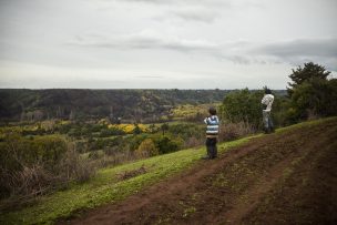 Presentan proyecto ante posibles irregularidades en compras de tierras indígenas