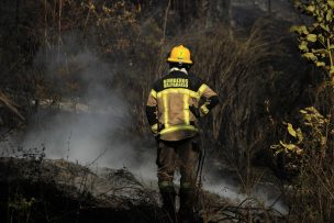 Incendio en Pencahue ha dejado 17 damnificados y 700 hectáreas destruidas