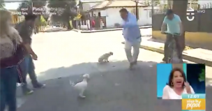 ¿No les gustó su voz? Willy Sabor vivió tensa situación durante despacho: fue atacado por perros