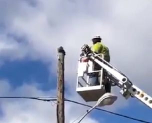 Hombre es castigado en su trabajo por salvar a un gatito con maquinaria de la empresa