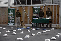 Carabineros detiene a traficante que trasportaba 500 kilos de droga en 28 sacos