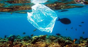 El impactante cortometraje sobre el día de la tierra que muestra los daños del plástico en la fauna silvestre
