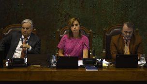 Primera Vicepresidenta de la Cámara pedirá creación de bibliotecas populares