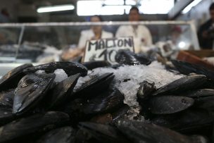 Semana Santa: Colegio Médico Veterinario llama a comprar mariscos en lugares autorizados