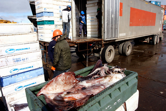Trabajadores de la jibia responden al subsecretario de Pesca “Lo que está haciendo es seguir riéndose de nosotros”