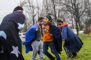 Corte de Temuco acogió recurso de amparo en favor de niños mapuche