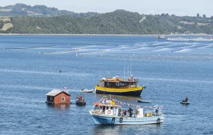 Gobierno comprará terreno para solucionar crisis de la basura en Chiloé