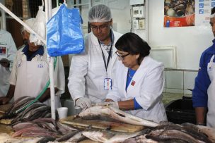 Salud fiscalizará más de mil locales por aumento en venta de pescados y mariscos