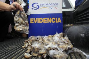 PDI detiene a tres sujetos que vendían productos en veda en Caleta Portales