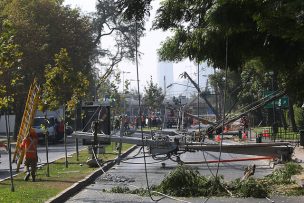 Camión derriba 9 postes y deja sin luz a 3,4% de los vecinos de Vitacura