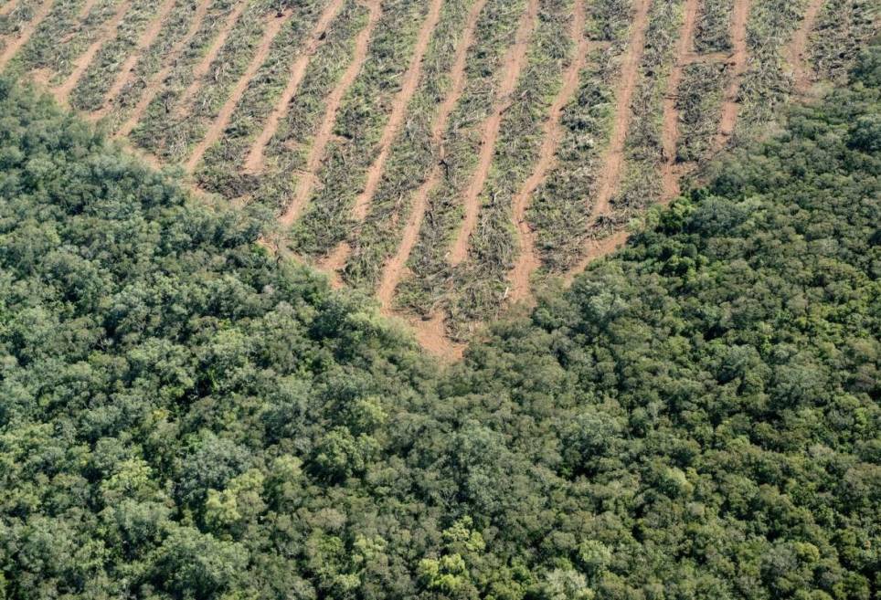 Día de la Tierra: 5 imágenes de la dramática transformación que hemos causado en el planeta