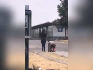 VIDEO | Mujer obliga a su pareja gatear frente a ella para perdonar infidelidad