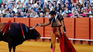 VIDEO | Escándalo en las redes por torero que limpia las lagrimas de un toro antes de matarlo