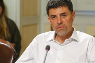 Marcelo Díaz sostiene que votaciones del Partido Socialista debe repetirse