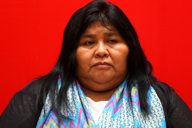 Diputada Nuyado califica como “más de lo mismo” la Agenda Legislativa Indígena presentada por el Gobierno