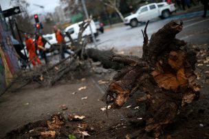 Usuarios reportan cortes de luz en varias comunas de Santiago