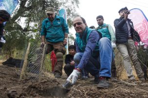 Inician reforestación del Parque Metropolitano afectado por incendio