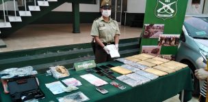 Decomiso de 21 mil dosis de marihuana creepy deja al descubierto red delictual