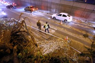 Intendencia Metropolitana asegura que fuerte viento provocó caída de 650 árboles