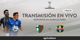 [Señal 2] Palestino recibe a Zulia buscando dar vuelta la llave de Copa Sudamericana