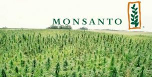 Bayer se excusa por espionaje de Monsanto a personalidades francesas