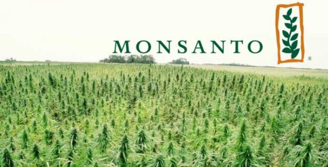Bayer se excusa por espionaje de Monsanto a personalidades francesas