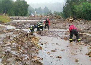 Ministro Fontaine por emergencia en Los Lagos: