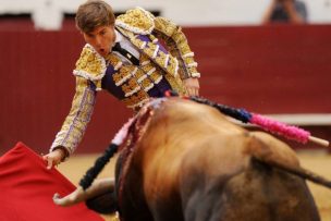 VIDEO | Torero francés recibió impactante cornada en el recto