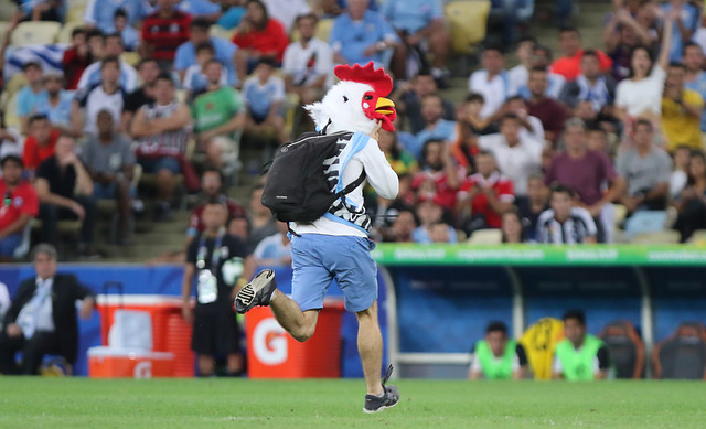 Hincha que entró a la cancha: “Chilenos nacieron traidores y traidores morirán”