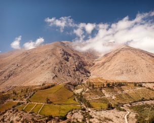 Valle del Elqui es elegido como un destino imperdible por The New York Times