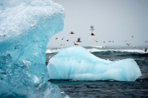 La humanidad ya agotó los recursos del planeta para este año