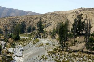 Gobierno decretan zona de emergencia agrícola en Coquimbo por sequía