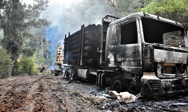 Corte de Apelaciones admite recurso de asociación de forestales contra intendente de La Araucanía