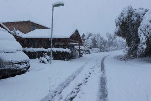 Intensas nevadas dejan 789 personas aisladas en Lonquimay y Curarrehue