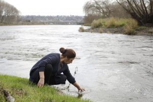 A pesar de las advertencias, gente se abastece de agua contaminada del río Rahue