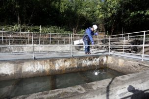 Superintendencia de Servicios Sanitarios evalúa poner fin a la concesión de Essal