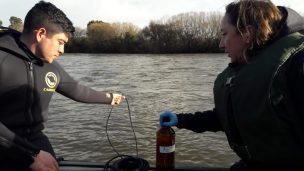 Osorno: Toman muestras de agua y anuncian generación de Norma Secundaria para los ríos Rahue y Damas