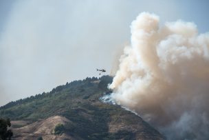 Incendio forestal en el este de Bolivia afecta a más de 460.000 hectáreas