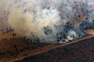 G7 aportará 22 millones de dólares para combatir los incendios en la Amazonía